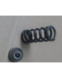 MUELLE DE COMPRESION 2 414 618 012