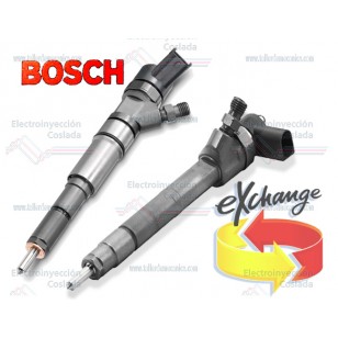 0445110248 - Inyector Common Rail intercambio Bosch