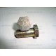 TORNILLO HUECO 1 463 456 303