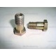 TORNILLO HUECO 1 463 456 303
