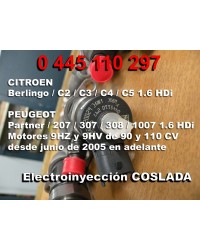 0445110297 Inyector Common Rail Bosch