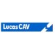 MUELLE