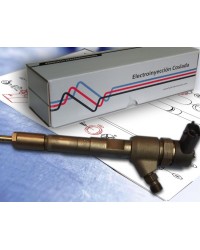 0445110076  Inyector Common Rail Bosch